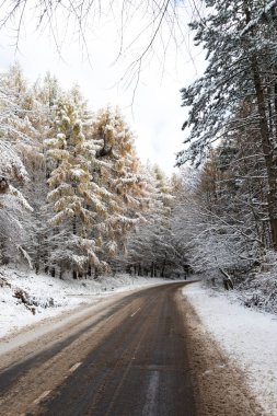güzel karlı manzara manzara manzara 
