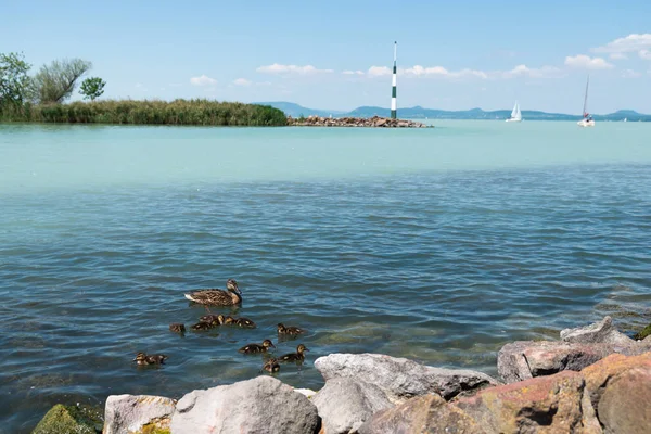Balaton See Hintergrund Malerische Aussicht — Stockfoto