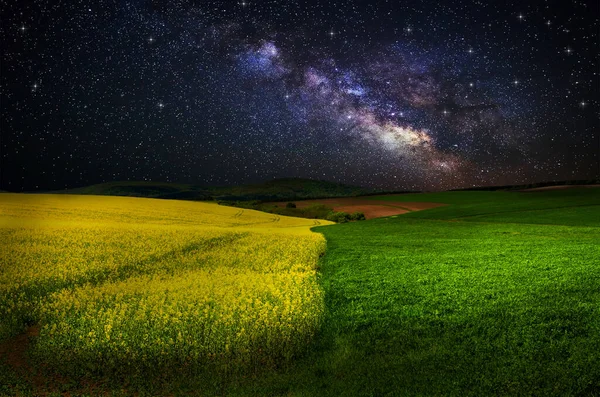 美丽的夜空和奶道越过了油菜田 免版税图库图片