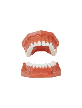 Diş araçları izole arka plan