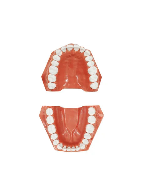 Strumenti Dentali Sfondo Isolato — Foto Stock