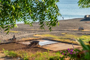 Bali 'de deniz tuzu üretiyorum. Tuz yapma süreci
