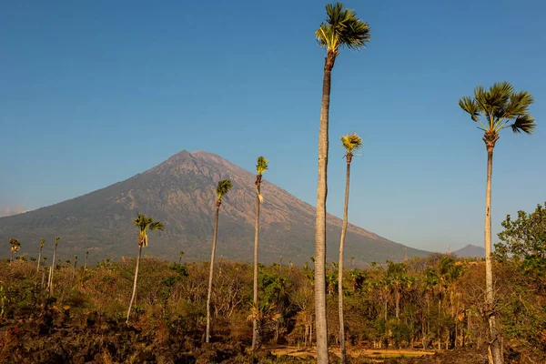 Vista Sul Vulcano Agung Bali Indonesia — Foto Stock