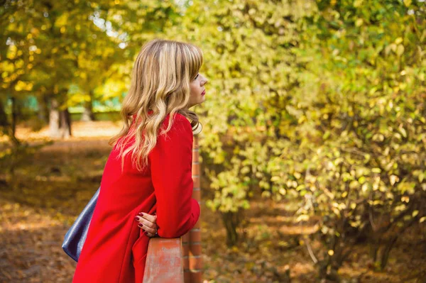 在秋天城市公园的桥上感到寂寞的年轻女子 — 图库照片