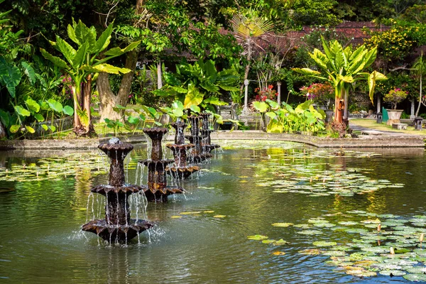 Estanque Con Flores Lotos Palacio Del Agua Tirta Gangga East — Foto de Stock