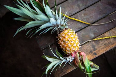 Ahşap arka planda taze ananas. Kırmızı ananas ya da pembe ananas, ananasın bir türüdür. Ananas braketüsü. Endonezya 'nın Bali adasından Flora