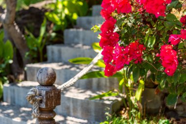 Taş adımlar. Dışarıdaki merdivenler Asya tarzı iç mekan. Bir otel otelinin iç mekanı. Bali, Endonezya