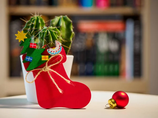 Christmas wooden ornament near  green small cactus with library on a background. non typical christmas concept