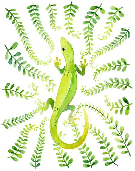 Akvarel Ilustrace Zeleného Gecku Ang Olistění Izolované Bílém Pozadí — Stock fotografie