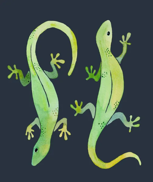 Aquarel Illustratie Van Twee Groene Gekko Donkere Achtergrond — Stockfoto