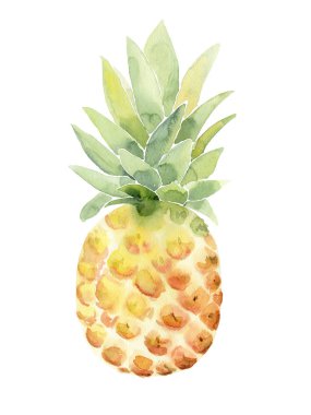 sulu tropikal ananas sulu illüstrasyon beyaz izole
