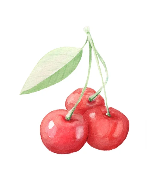 Hand Drawn Watercolor Sweet Cherry White Background — Stock Photo, Image