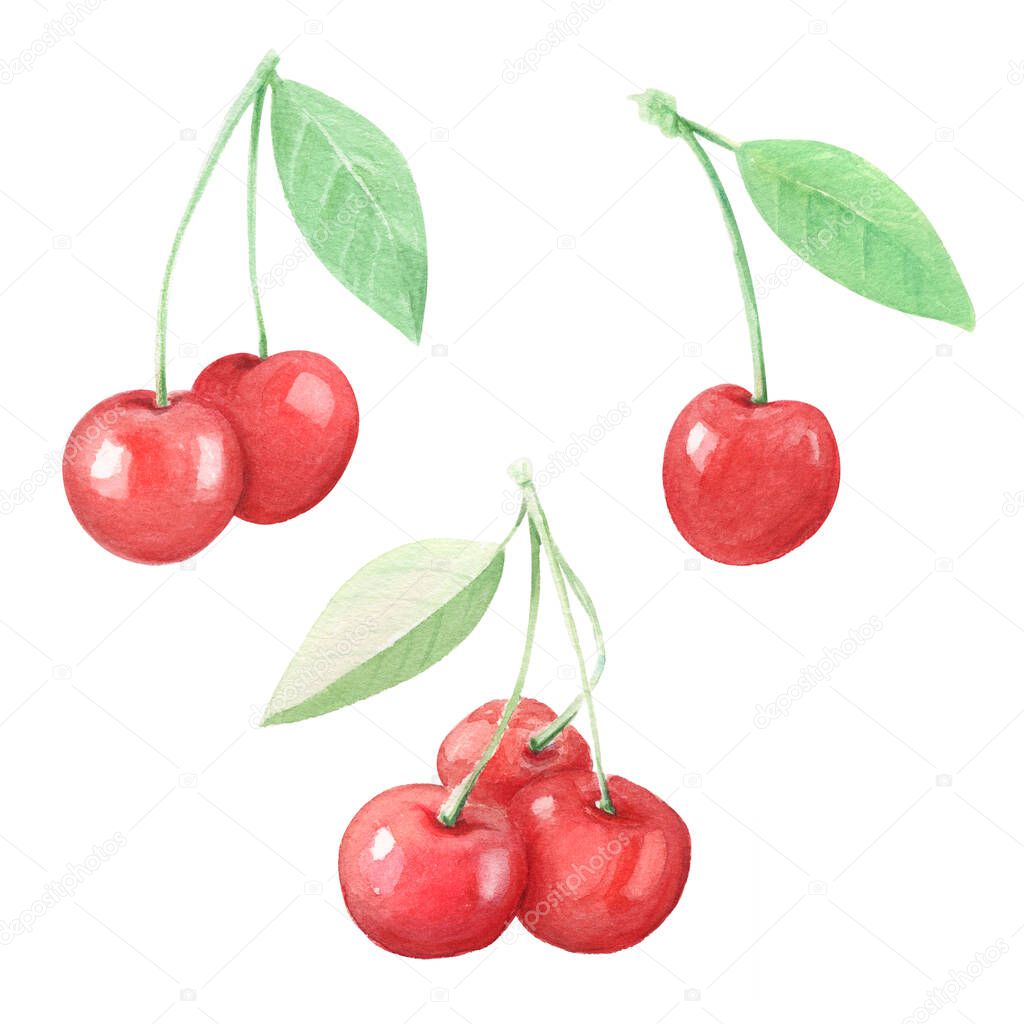 Set of Hand drawn watercolor sweet cherry on white background