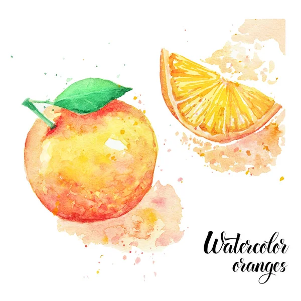 Hand Drawn Watercolor Painting Oranges Isolated White Background — Stock Photo, Image