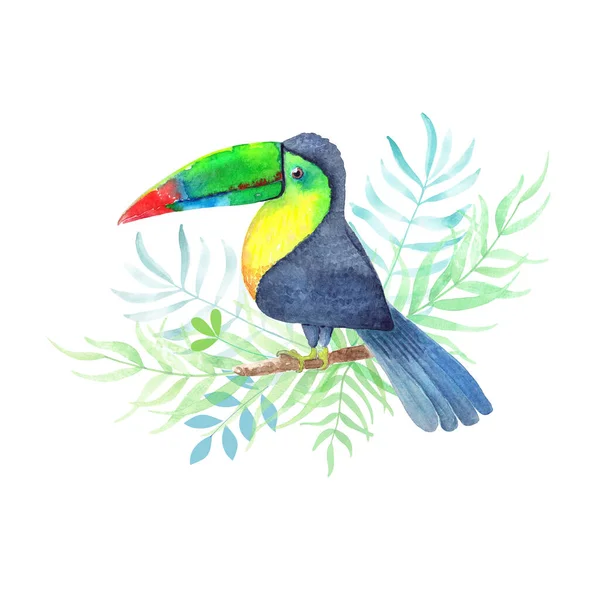 Toucan Roztomilý Pták Akvarel Tropických Listech — Stock fotografie