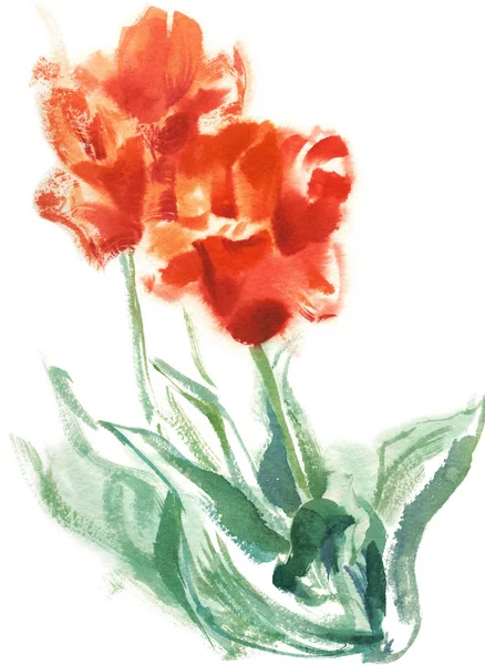 Jasně červené tulipány — Stock fotografie
