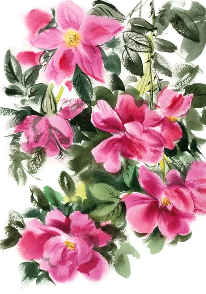 Pink rose branch — Stock Photo, Image