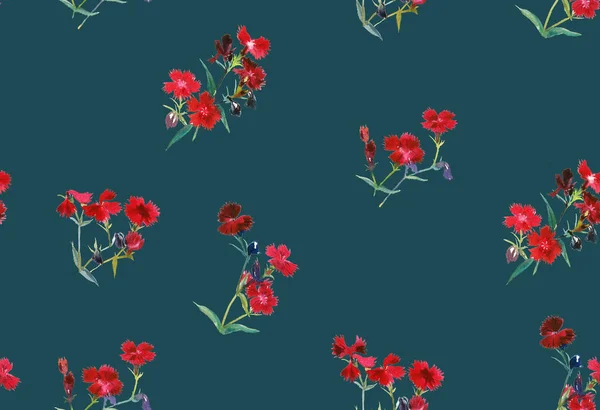Karafiátu, květiny na tmavém pozadí, akvarel — Stock fotografie
