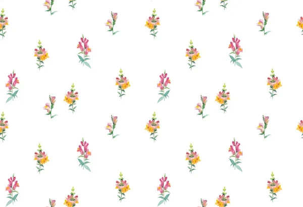 Snapdragon цветы на белом фоне — стоковое фото