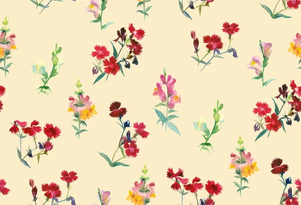 米色背景上的斯内德拉贡花和康乃馨花 — 图库照片