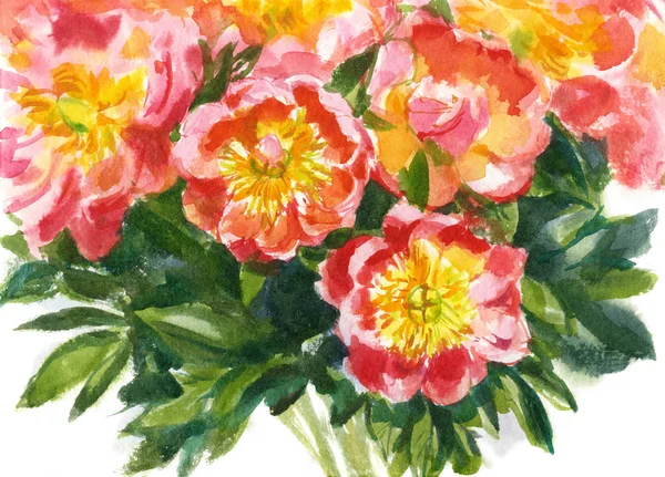 Bouquet aquarelle de pivoines roses — Photo