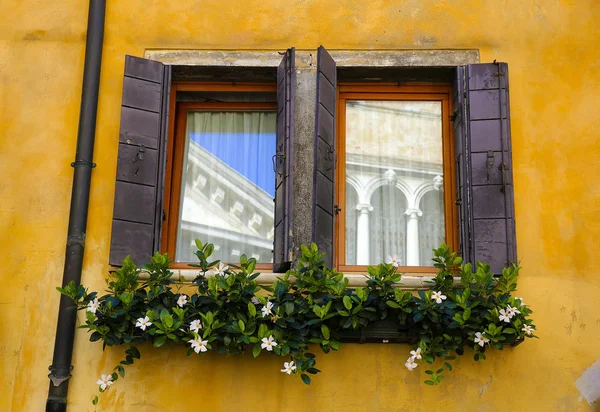 Okna Wenecji Włochy — Zdjęcie stockowe