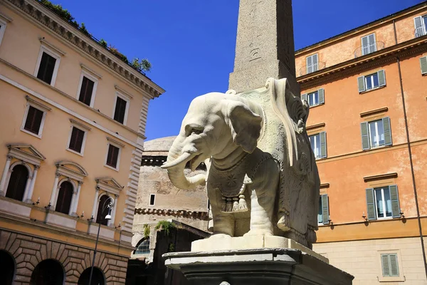Slon Náměstí Minerva Římě Itálie — Stock fotografie