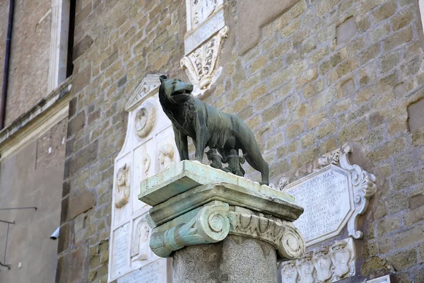Vlčice Ječí Dvojčata Symbol Říma Bronzová Socha Capitolinský Vrch Řím — Stock fotografie