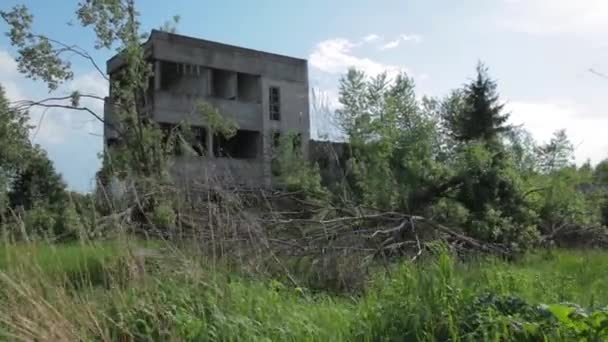De ruïnes van gebouwen in het bos — Stockvideo