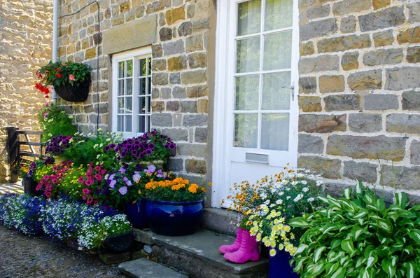 Frente Cottage Com Lotes Plantas Recipiente — Fotografia de Stock