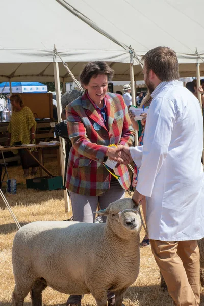 Tendring エセックス英国 2018 農業ショーで彼の血統の羊の成熟した女性でロゼットを授与されて男 — ストック写真