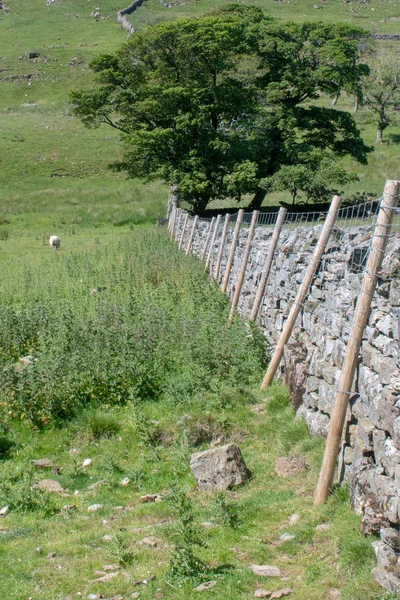 Yorkshire Trockenmauerwerk — Stockfoto