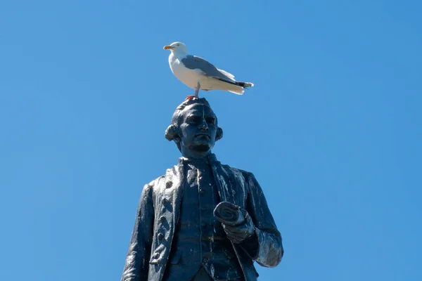 Mémorial Thomas Cook Whitby Avec Mouette Sommet — Photo