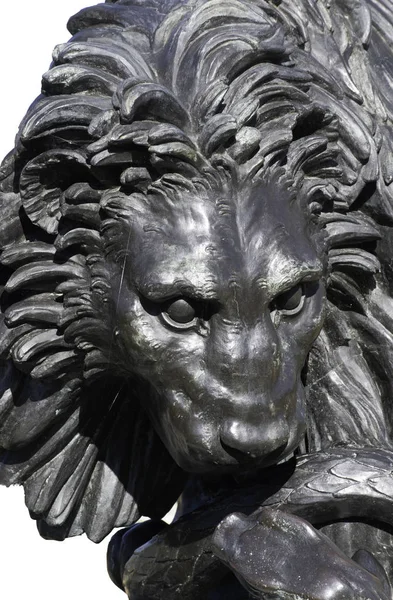 Sculpture Visage Lion Isolée — Photo