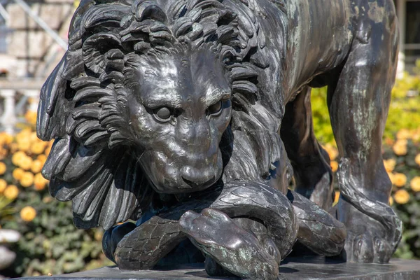 英国花园中的黑狮雕塑 — 图库照片