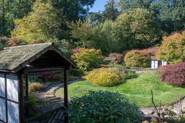 Visa Traditionell Japansk Stil Trädgård England — Stockfoto
