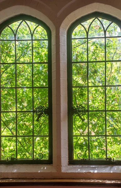 Pohled Přes Tudor Windows Zelené Stromy — Stock fotografie