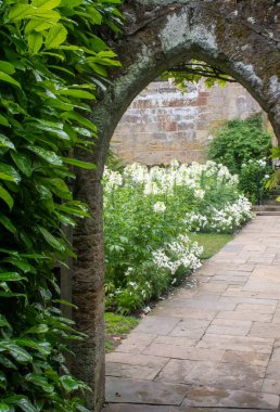 Antik kemer ile görülen beyaz çiçekler