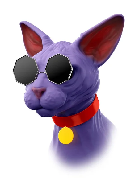 変なメガネのスフィンクス猫 — ストック写真