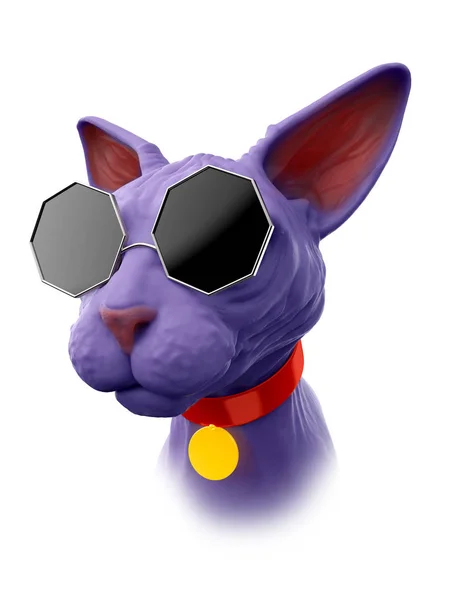 Кошка-сфинкс в странных очках — стоковое фото