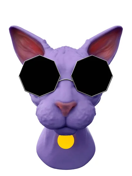 Sphynx cat in strange glasses — Stock Photo, Image