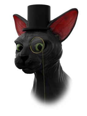 sphynx cat mister