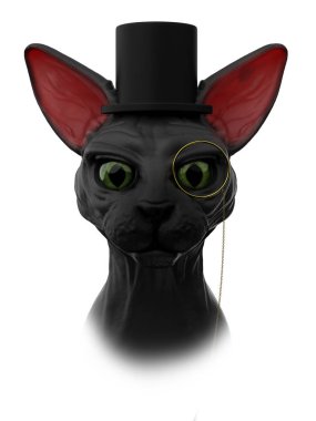 sphynx cat mister