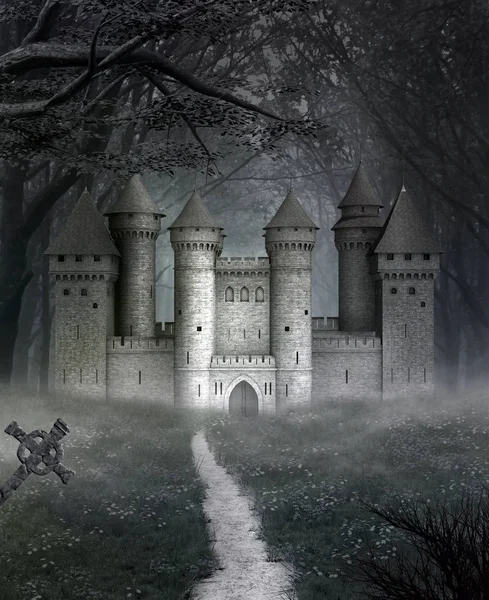 雾蒙蒙的幻想风景与城堡在黑暗的森林中间 — 图库照片