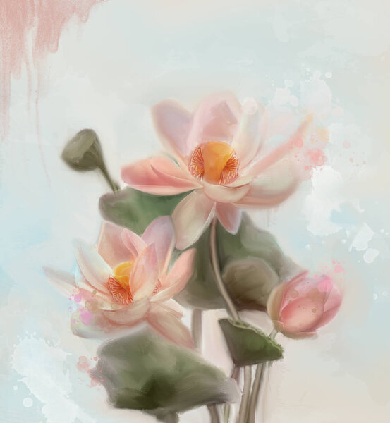 Spring Summer Flowers Collection Pink Water Lilies Watercolor Style — Stock Photo, Image