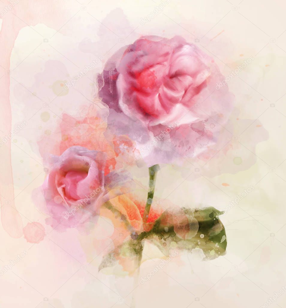 Spring and summer flowers collection  pink roses digital watercolor illustration