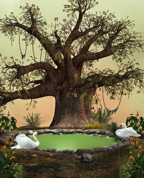 Old tree by a smal pond with a couple of white swans