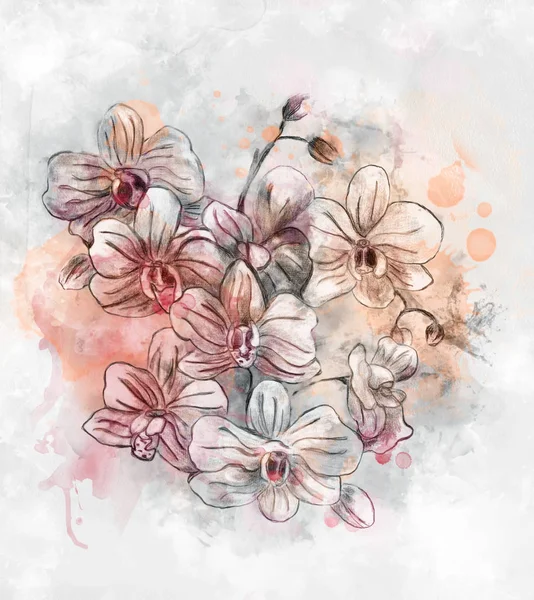 Lente Zomer Bloemen Collectie Digitale Aquarel Pastels Stijl Orchideeën Schets — Stockfoto