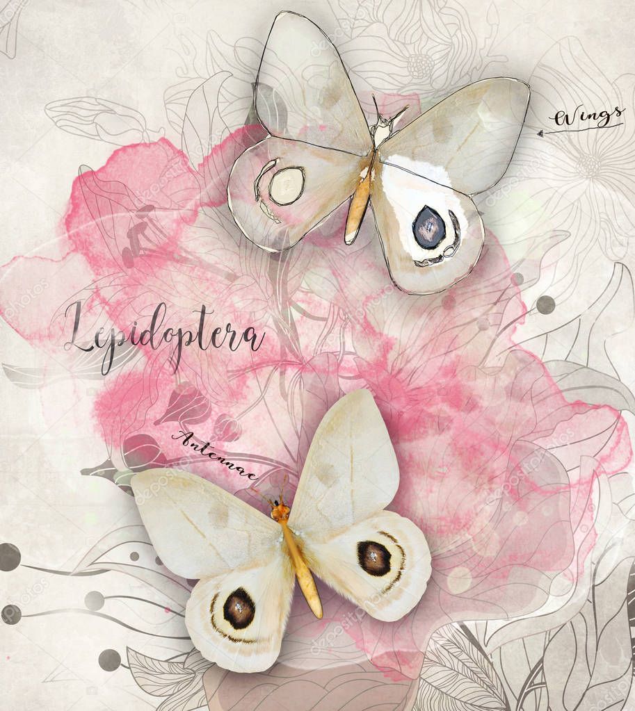 Vintage watercolor illustration with with flying butterflies