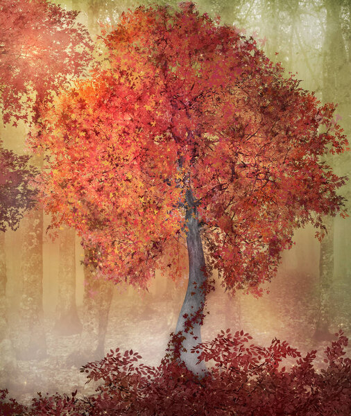 Autumnal magic tree in the foggy forest